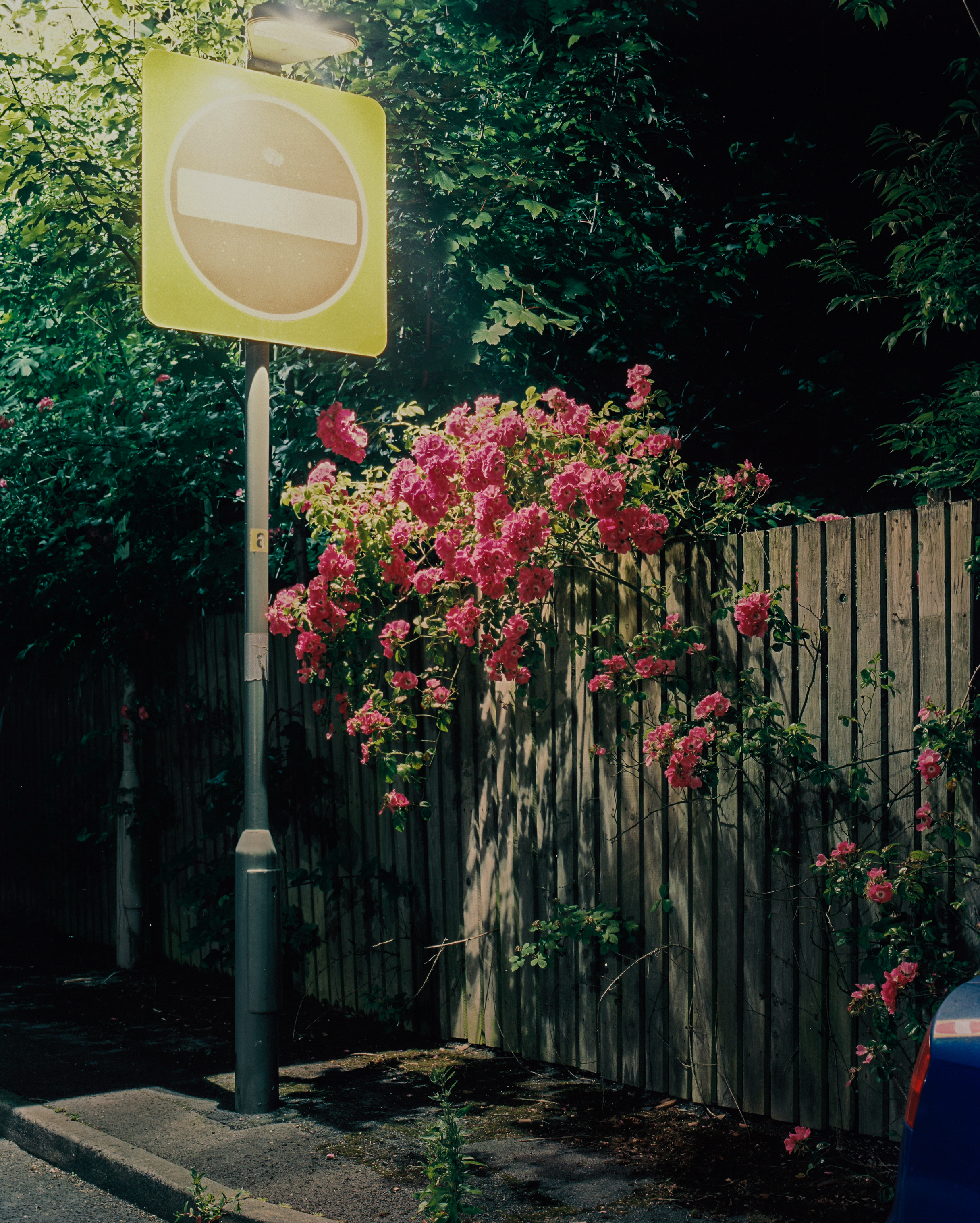 These Northern Lights detail 3